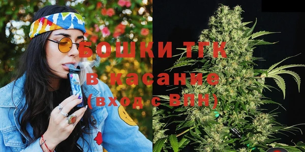 ПСИЛОЦИБИНОВЫЕ ГРИБЫ Горно-Алтайск