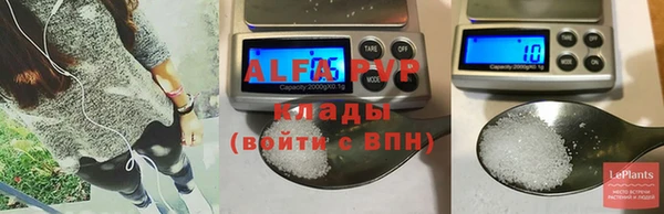 ПСИЛОЦИБИНОВЫЕ ГРИБЫ Горно-Алтайск