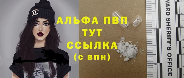 прущий лед Горняк