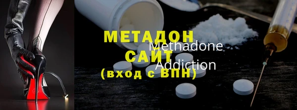 ПСИЛОЦИБИНОВЫЕ ГРИБЫ Горно-Алтайск