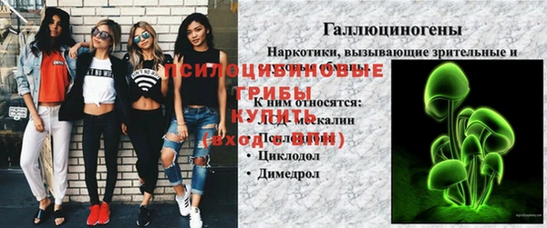 гашик Горнозаводск