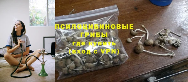 прущий лед Горняк