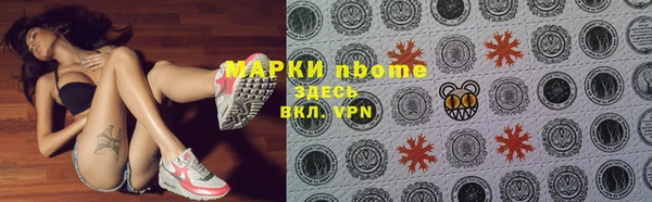 ПСИЛОЦИБИНОВЫЕ ГРИБЫ Горно-Алтайск