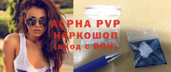 ПСИЛОЦИБИНОВЫЕ ГРИБЫ Горно-Алтайск