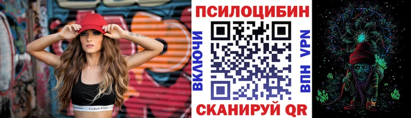 закладки  МЕГА ONION  Псилоцибиновые грибы Psilocybine cubensis  Нальчик 